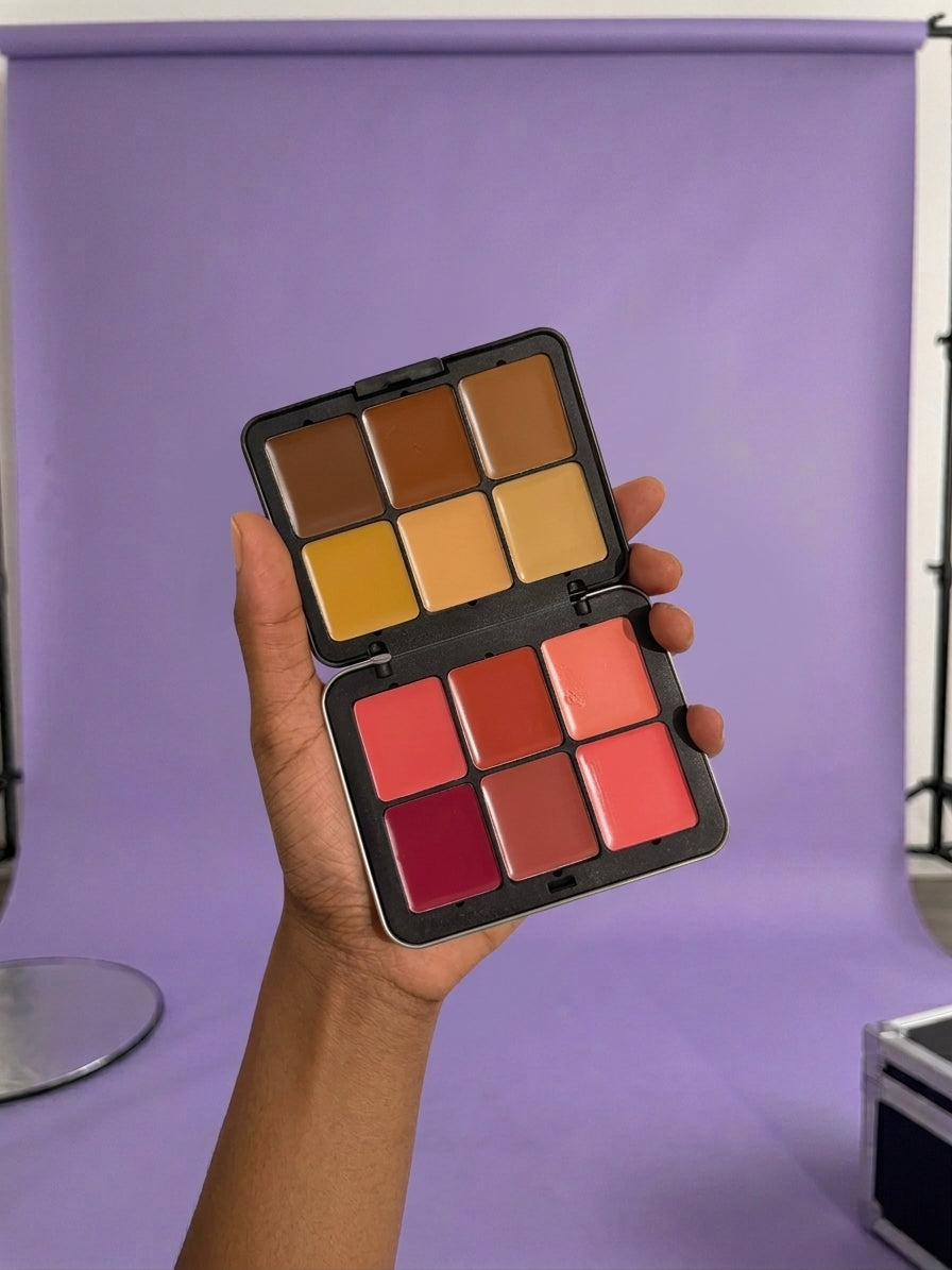 12-Color Matte Concealer and Blush Palette