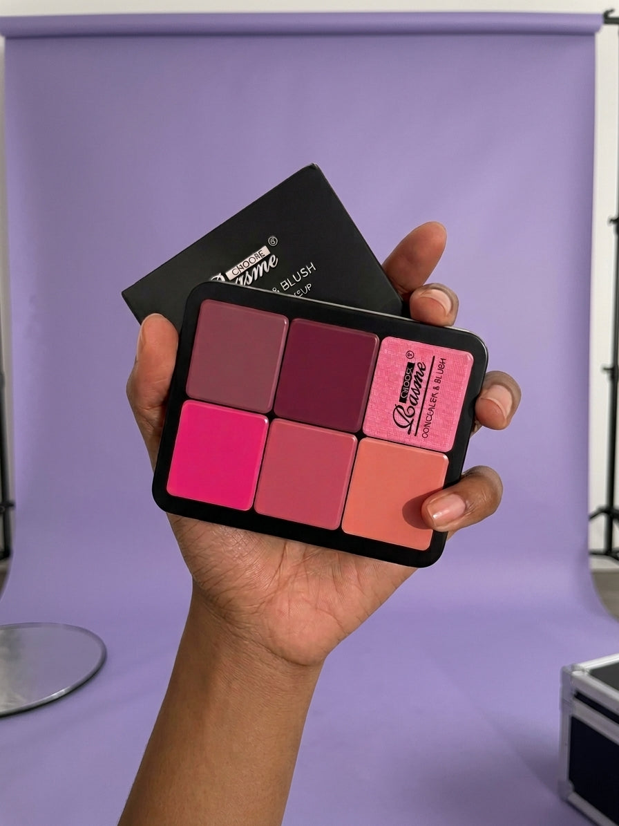 12-Color Matte Concealer and Blush Palette