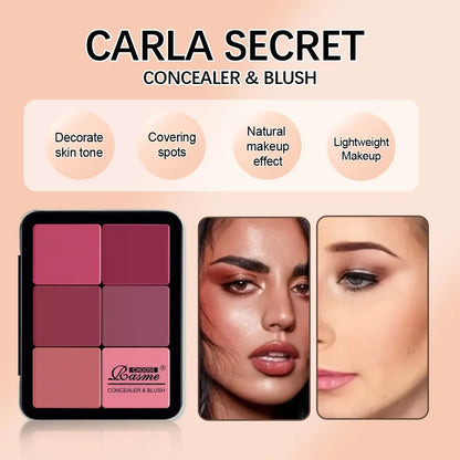 12-Color Matte Concealer and Blush Palette